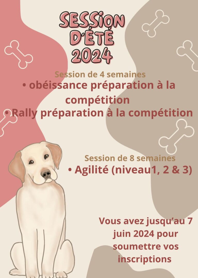 Cours Été 2024 compétition et agilité