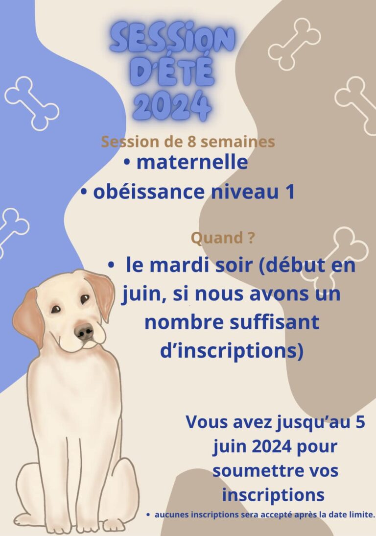 Cours Été 2024 maternelle et obéissance