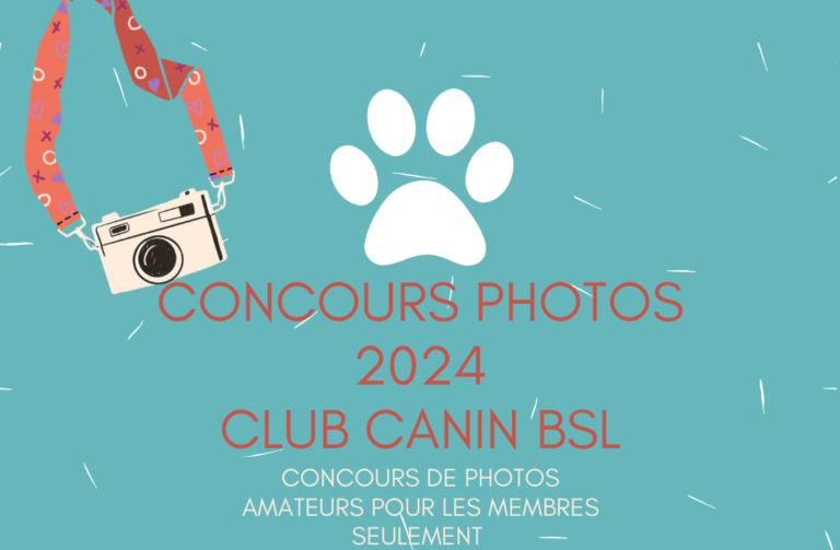 Concours photo 2024