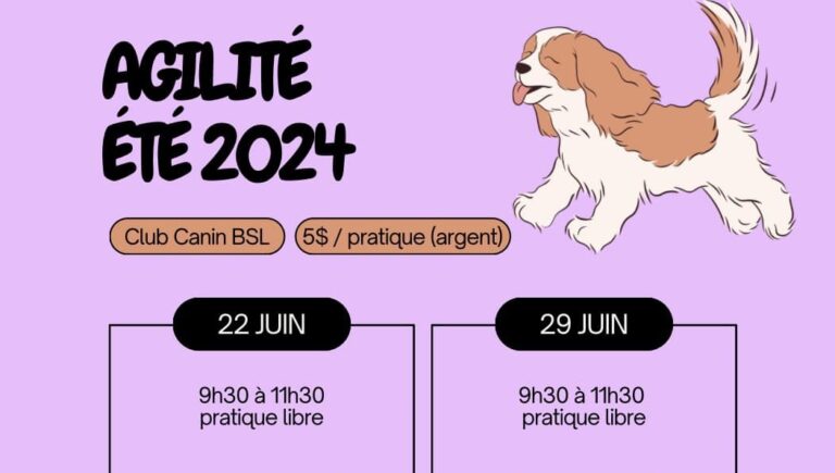 Agilité été 2024