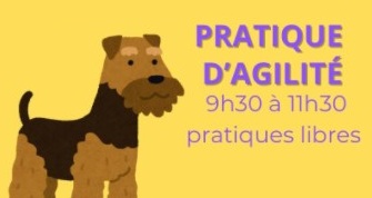 Agilité 30 août